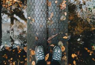 Feet Autumn Foliage Rain Wallpaper