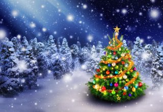 Christmas New Year Snow Fir Tree 5k Wallpaper