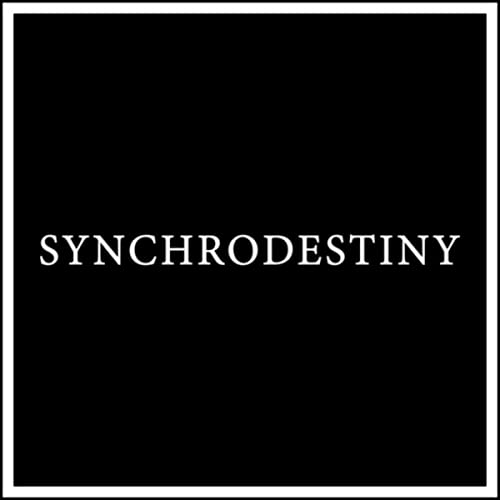 دانلود قطعه موسیقی Synchrodestiny توسط Maneli Jamal